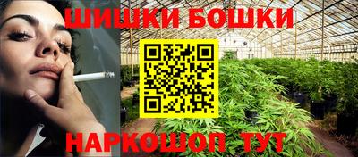 индика Ирбит