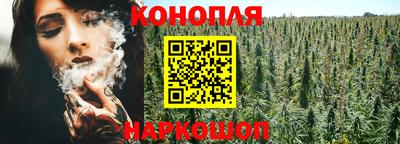 индика Ирбит