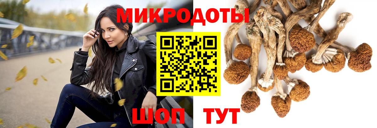 Псилоцибиновые грибы GOLDEN TEACHER Саки